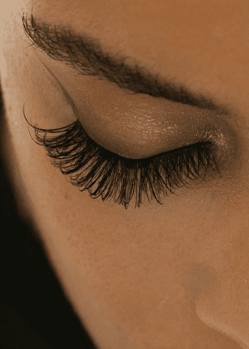 lash-collections